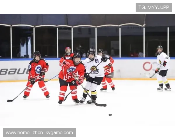 冰球补射入网打破僵局